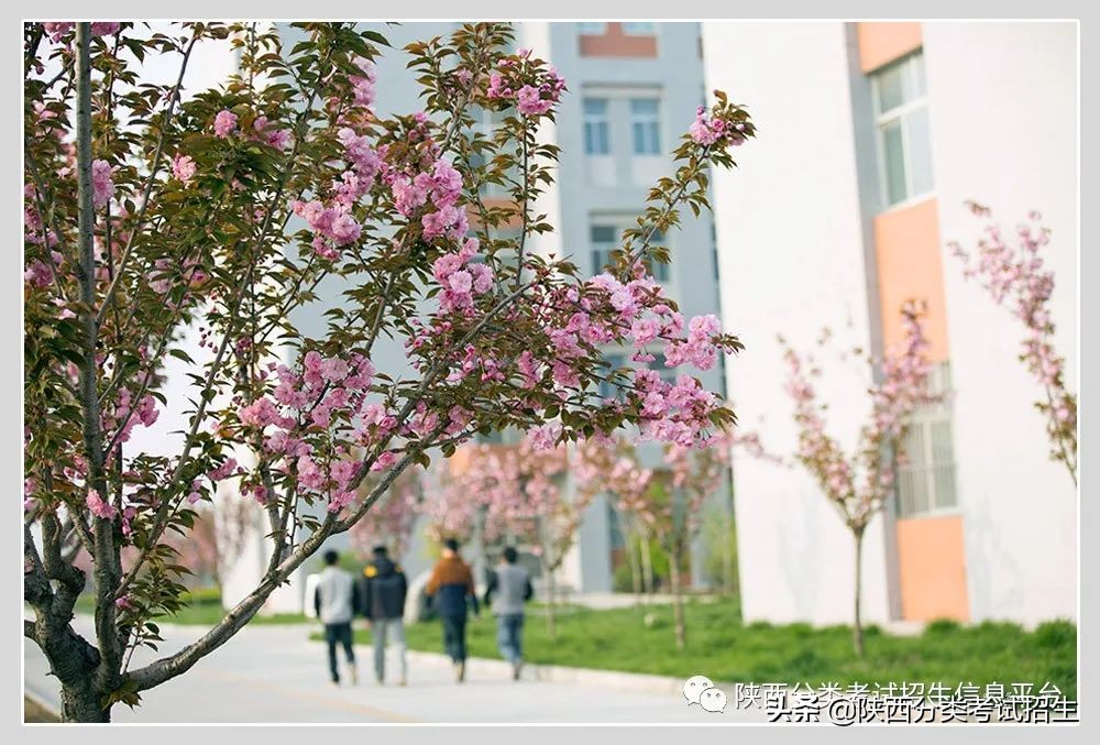 渭南-华山风骨 渭水襟怀 | 渭南职业技术学院