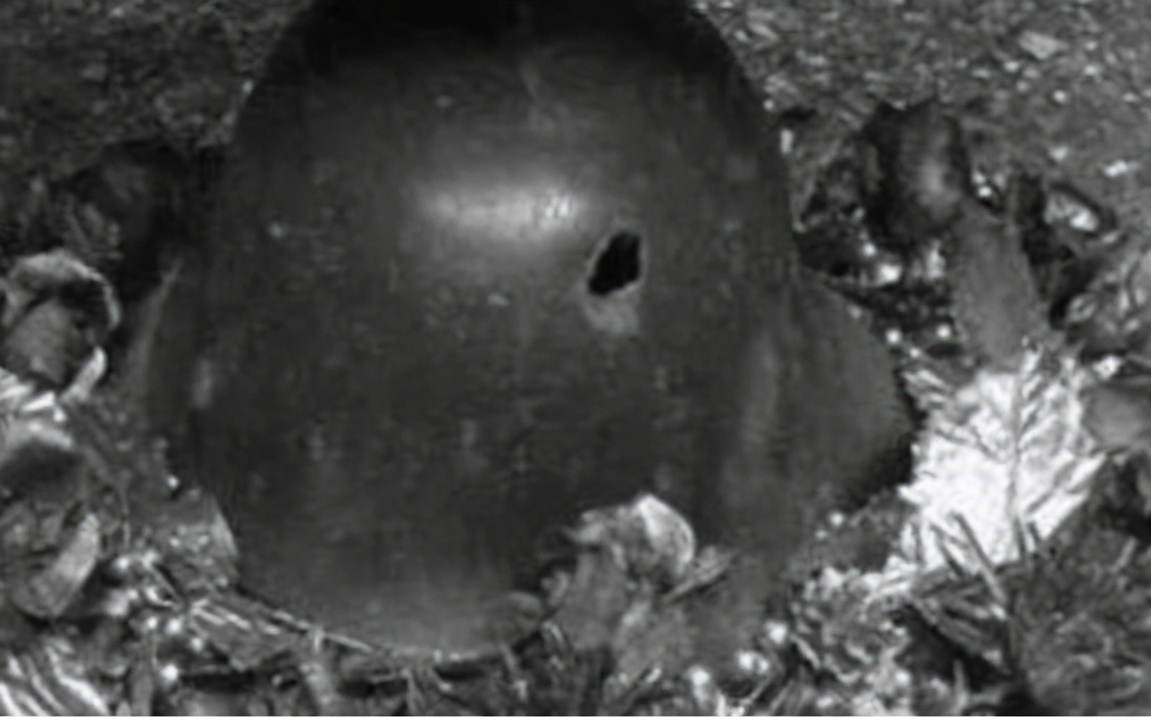 1994年悍匪田明建枪击案纪实：单手换弹夹，对抗上百名军人终被击毙