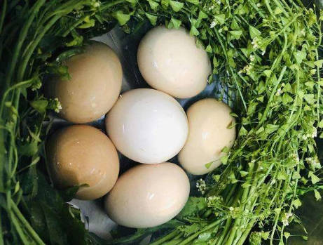 图片[4]-荠菜煮鸡蛋的做法-起舞食谱网