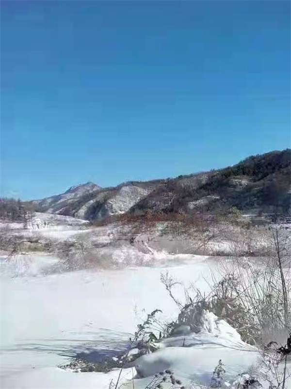 春节假日（六首）