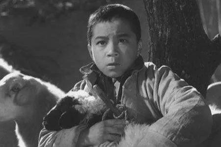 13岁的王二小壮烈牺牲后，儿时伙伴为他守墓58年，他说：不能让国家的英雄成了孤魂