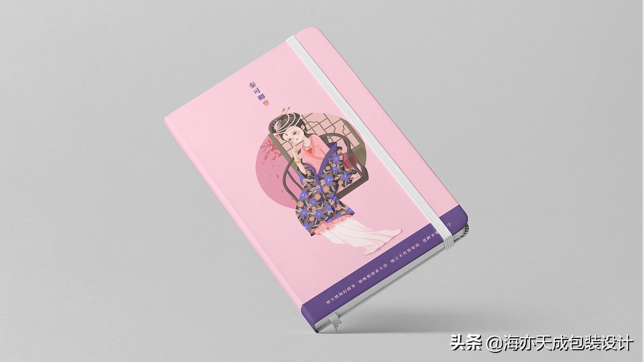 红楼梦：金陵十二钗人物IP形象插画