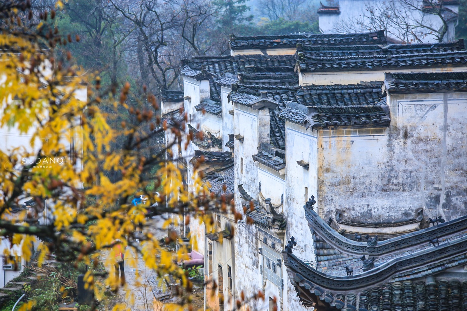 “中国画里乡村”在哪里？安徽这个地方一到秋天，令人如痴如醉