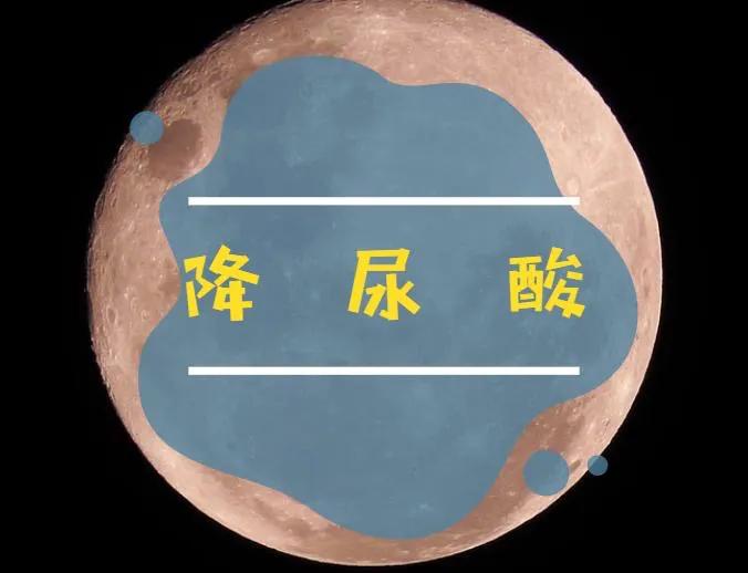 尿酸達到這個值就得開始服藥了！ 各類降尿酸藥有何特點？