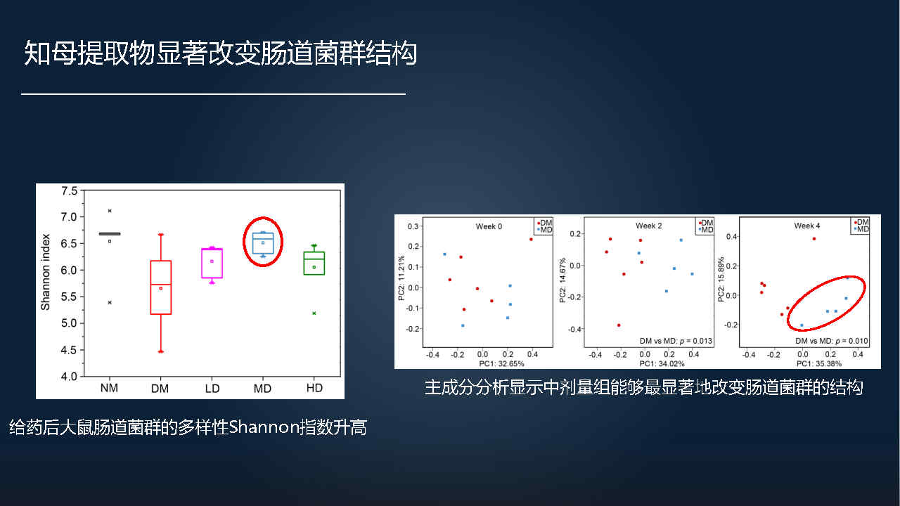 马百平：20分钟详解从有效成分到肠道菌群，中药如何突破？