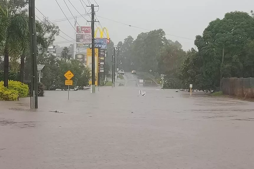 更多地区因洪灾沦陷！超市货架再次被搬空，老鼠占领澳大利亚