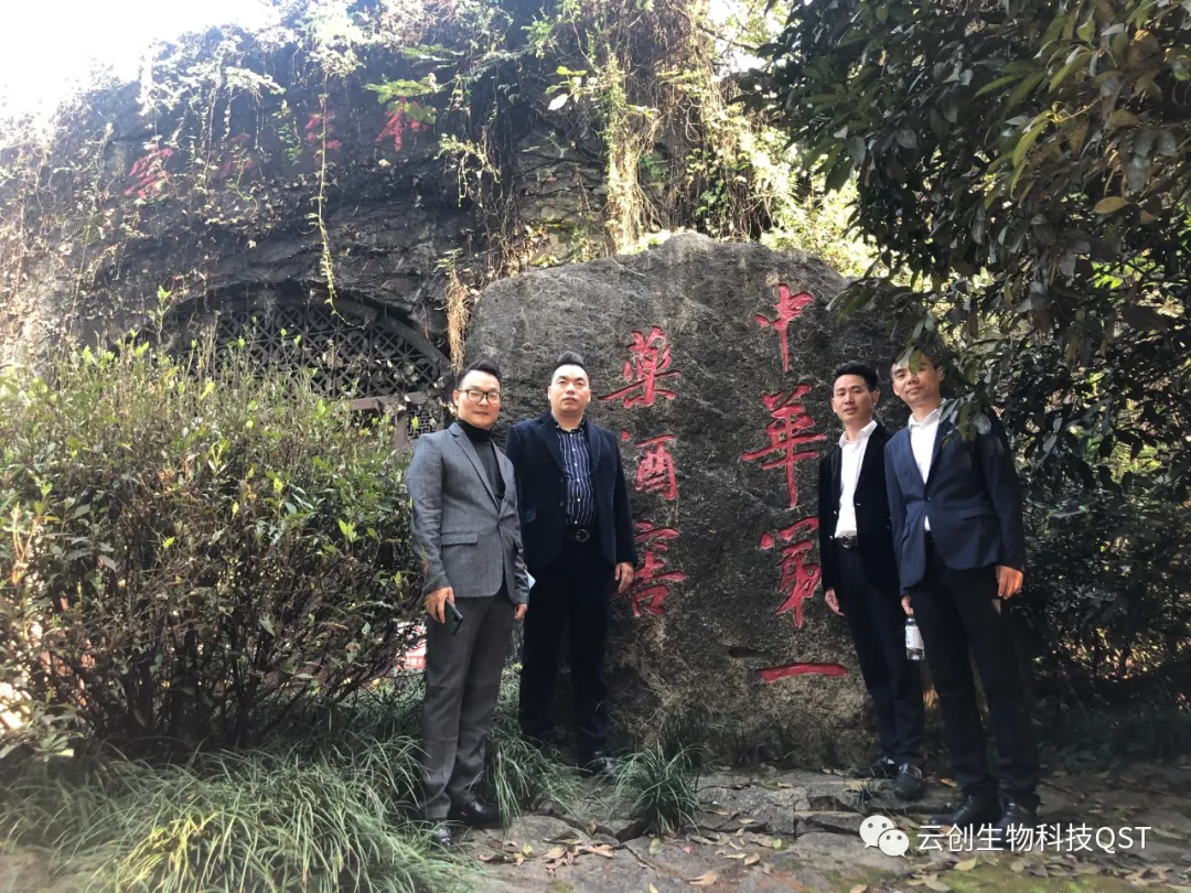 专业专注，匠心可见——中创集团考察团前往李时珍医药集团考察