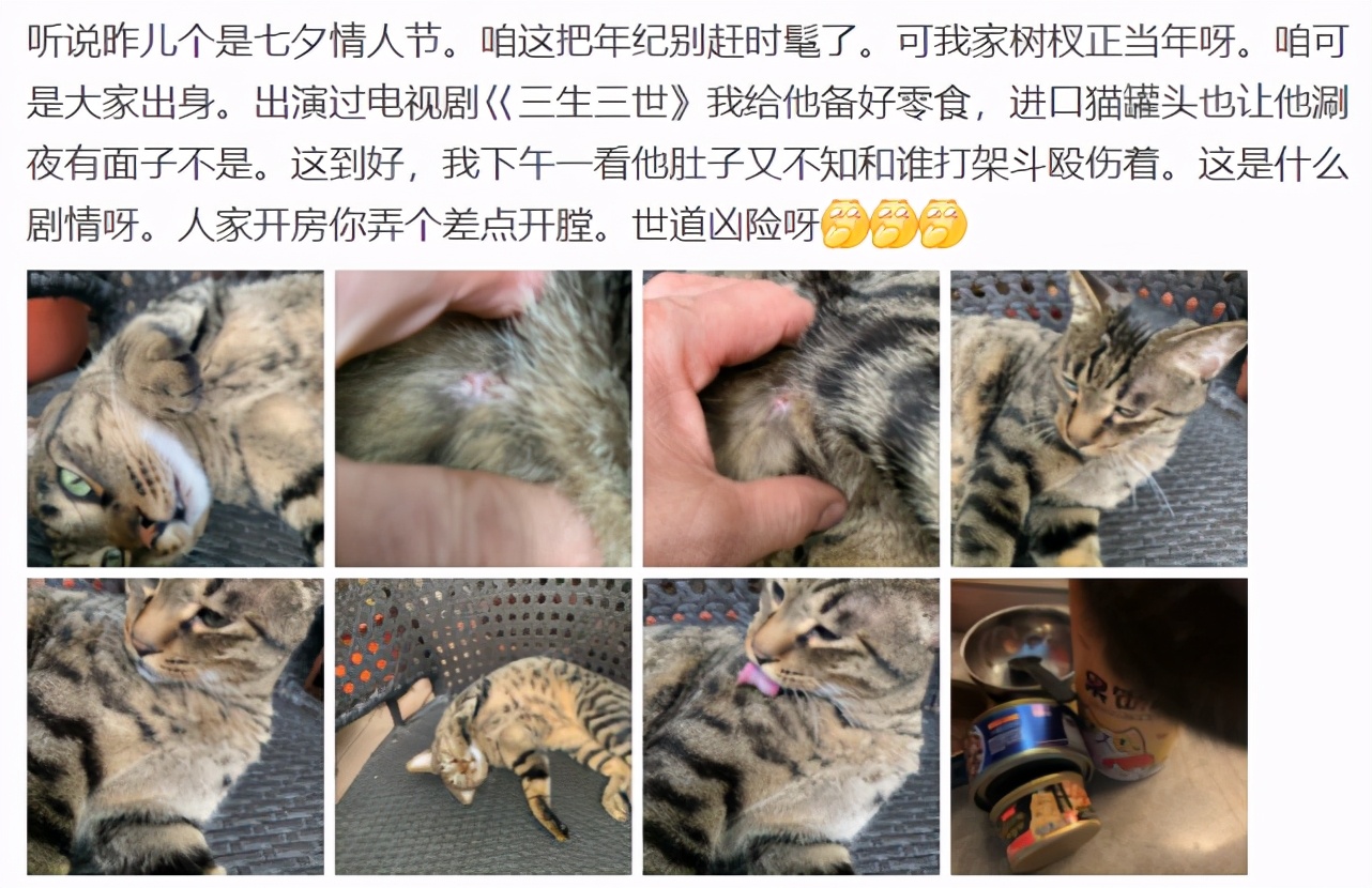关晓彤郑爽杨幂，仨女星爸爸一个比一个厉害
