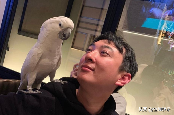 王思聪带新女伴去看成都麓湖的房子，    价也要2万左右一平方米