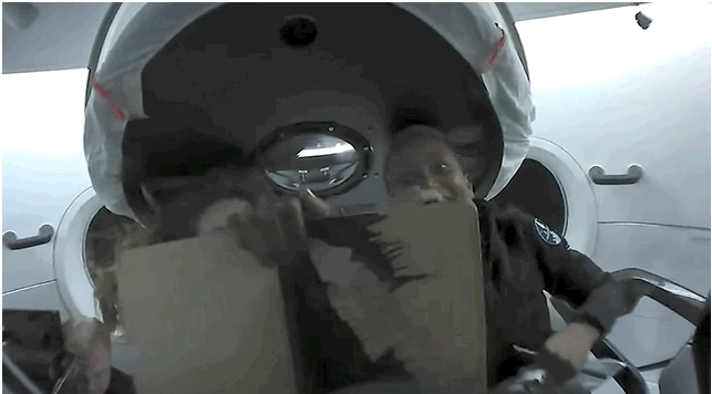 SpaceX素人太空旅今晚結束，又翻跟頭又彈琴，4個人在太空艙玩嗨了