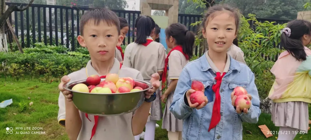 快乐劳动 幸福采摘——双流区实验小学外国语学校劳动课程