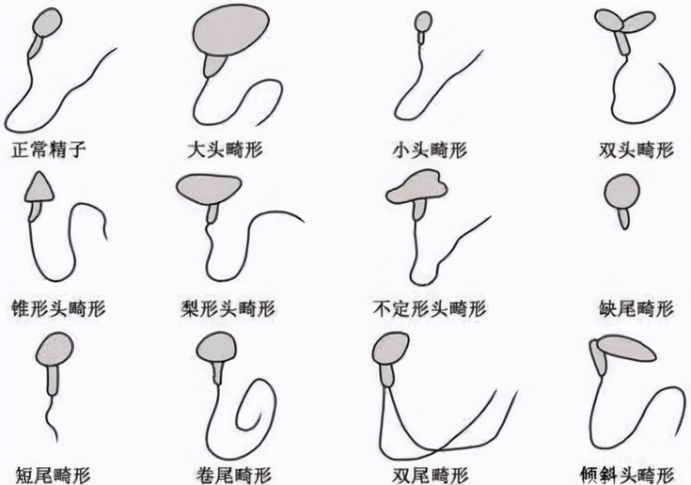 經常“用手”，對健康有影響嗎？
