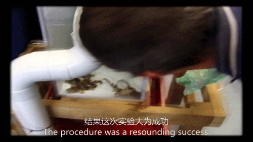 38年前的今天，一個特別的女嬰誕生了