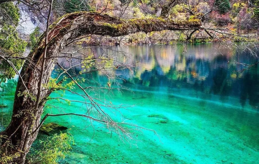 10 places that are most suitable for a person to travel, one every year, OK?