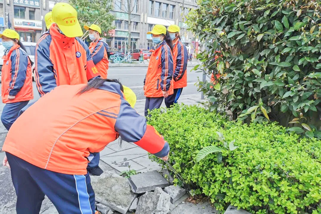 成都市双流区特殊教育学校开展爱国卫生运动