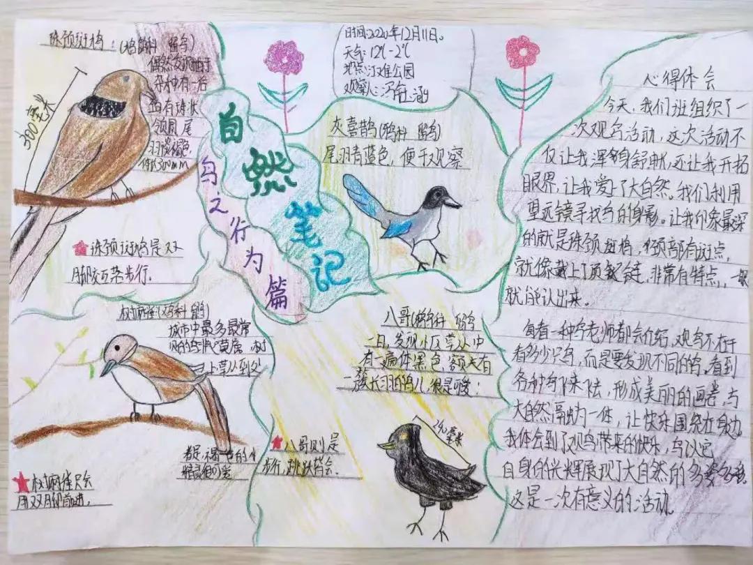 生态研学｜江滩观鸟 用另外一种方式打开大自然