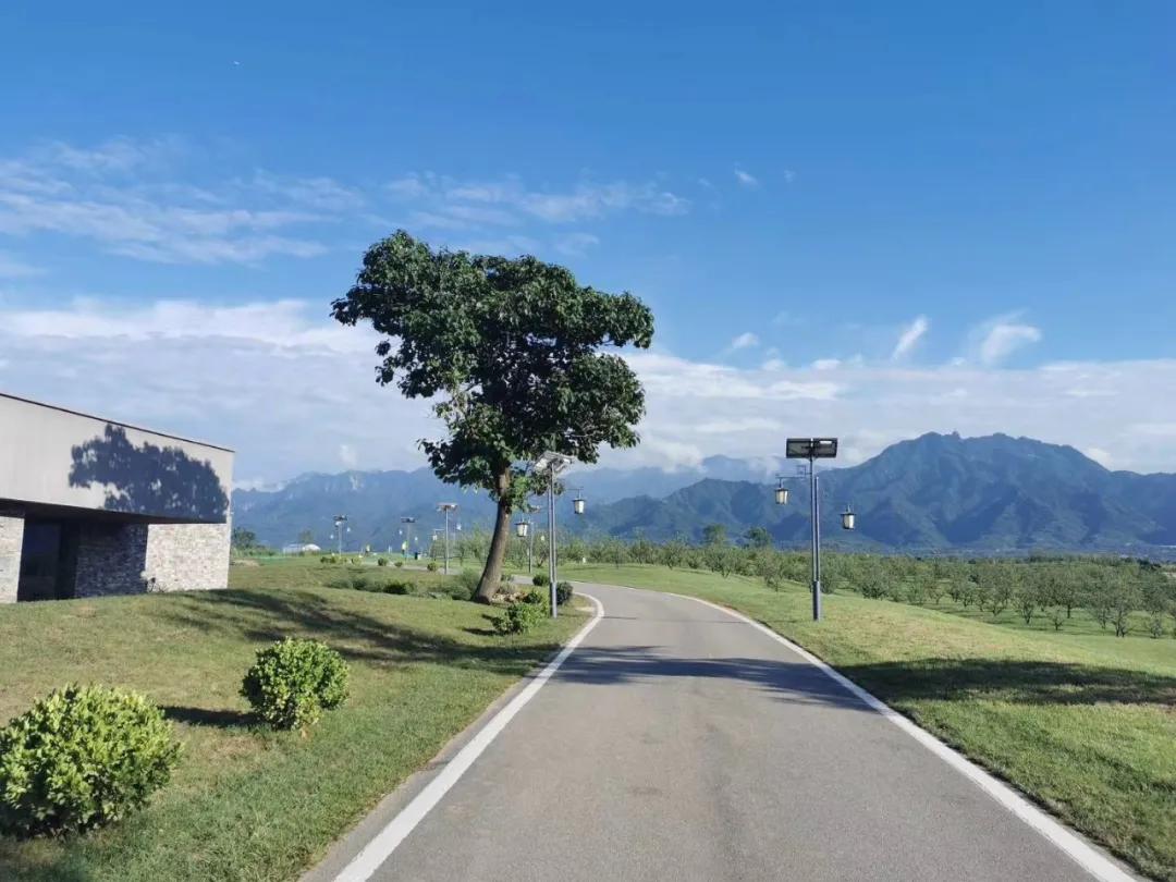 袁家村之后，陕西又出了一个全新标杆农文旅项目——唐村