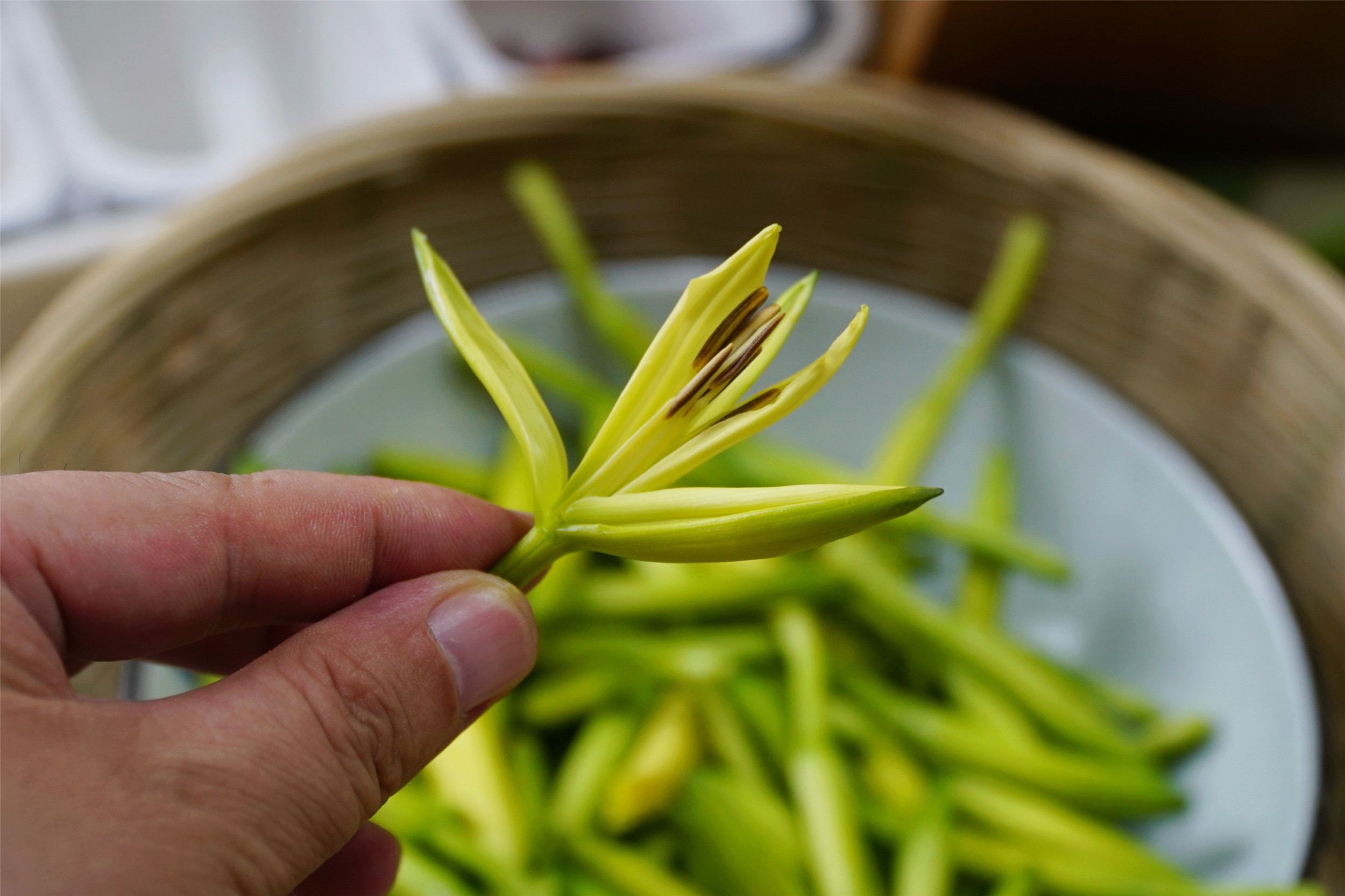 新鲜黄花菜有毒，不要直接吃，炒之前处理2步，毒性全消味道香