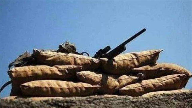 原来我们被误导了，大树不能挡子弹，真正能挡