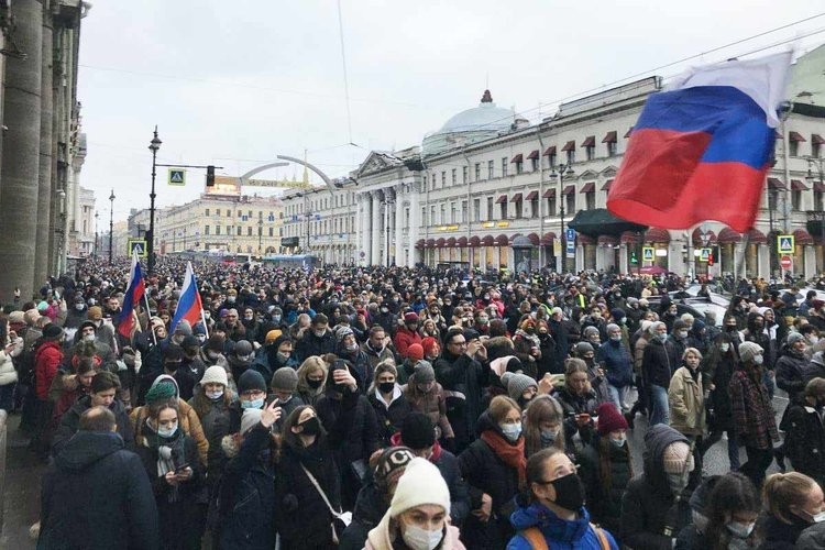 11�������𣬷����ؼ���Ͽ���������Ƽ��Ķ���˹ֻ��ѡ��ս����