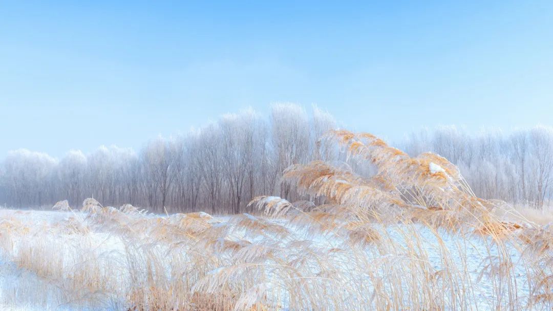 40位知名诗人，一人一句雪的诗词，治愈了整个冬天