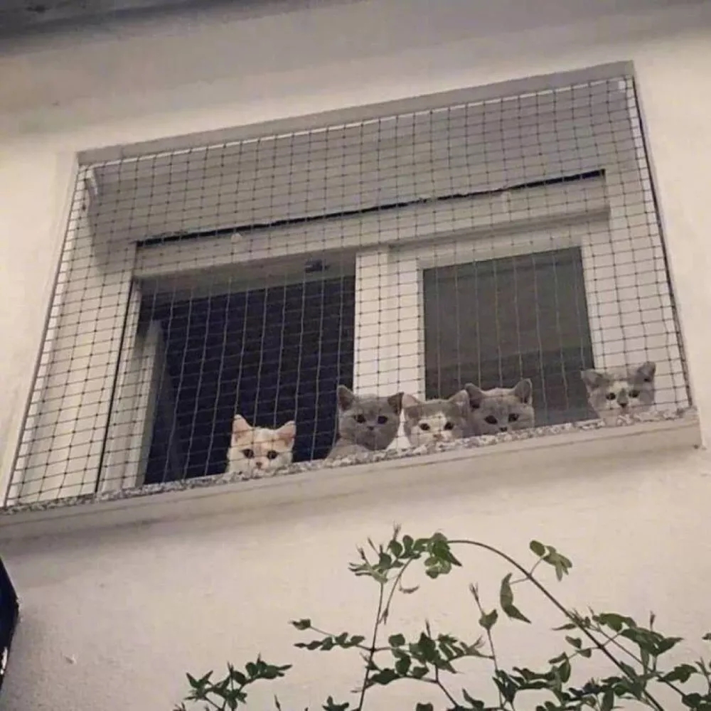 置顶文案背景图要在不愉快的日子里，搜刮生活藏起来的温柔