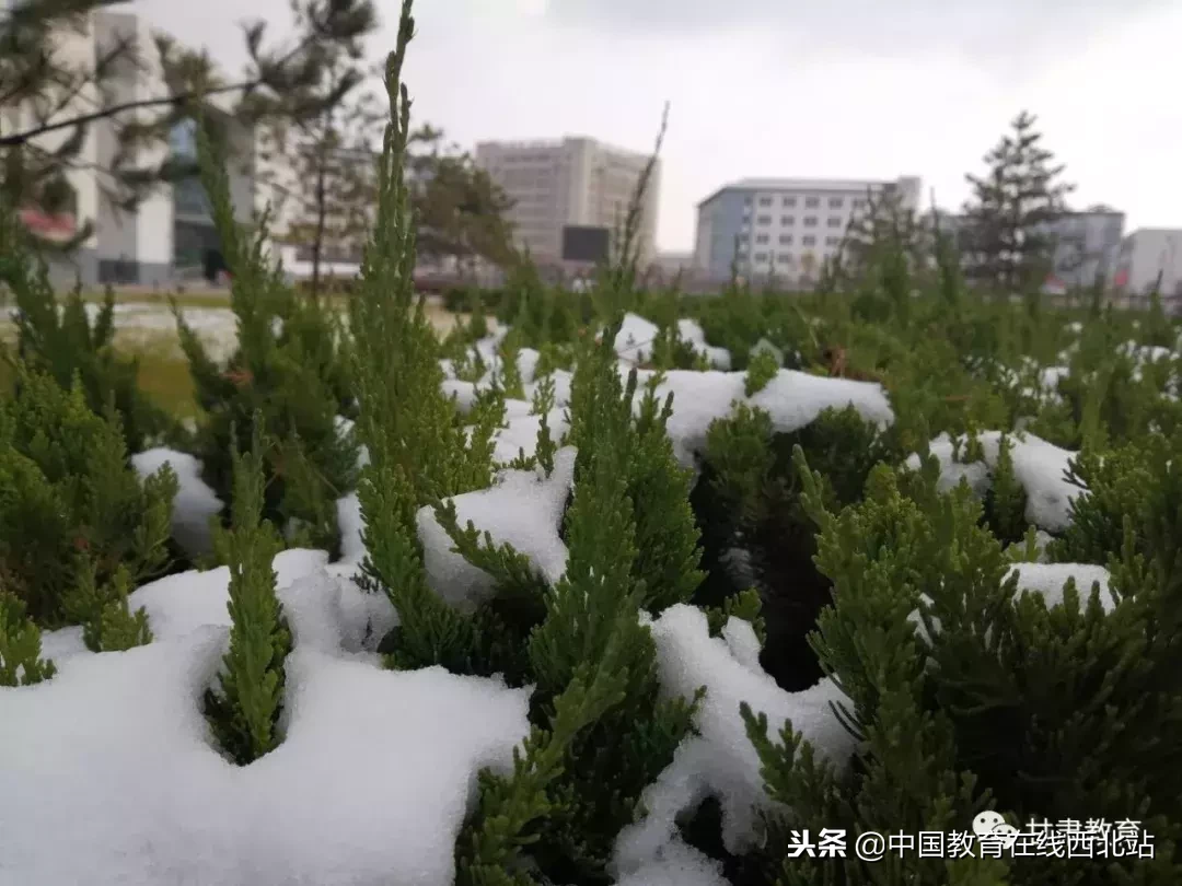 甘肃初雪|甘肃18所高校初学雪景大PK,快来看看有你的母校没?