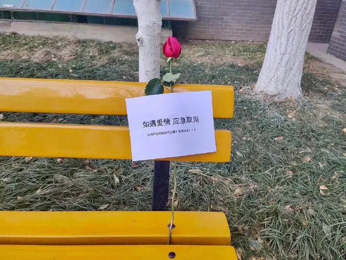 Atlas | Eider down takes the advantage that buys big drop, be clear at a glance with a ha is breathed out