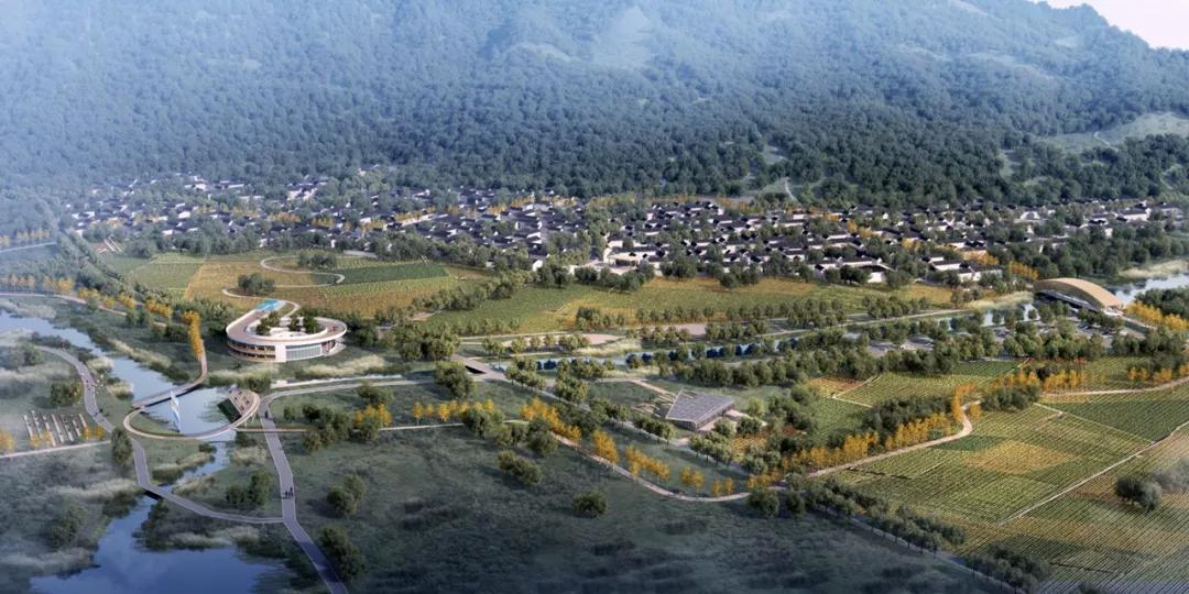 “十四五”期间，田园综合体，重新洗牌，又会大力发展