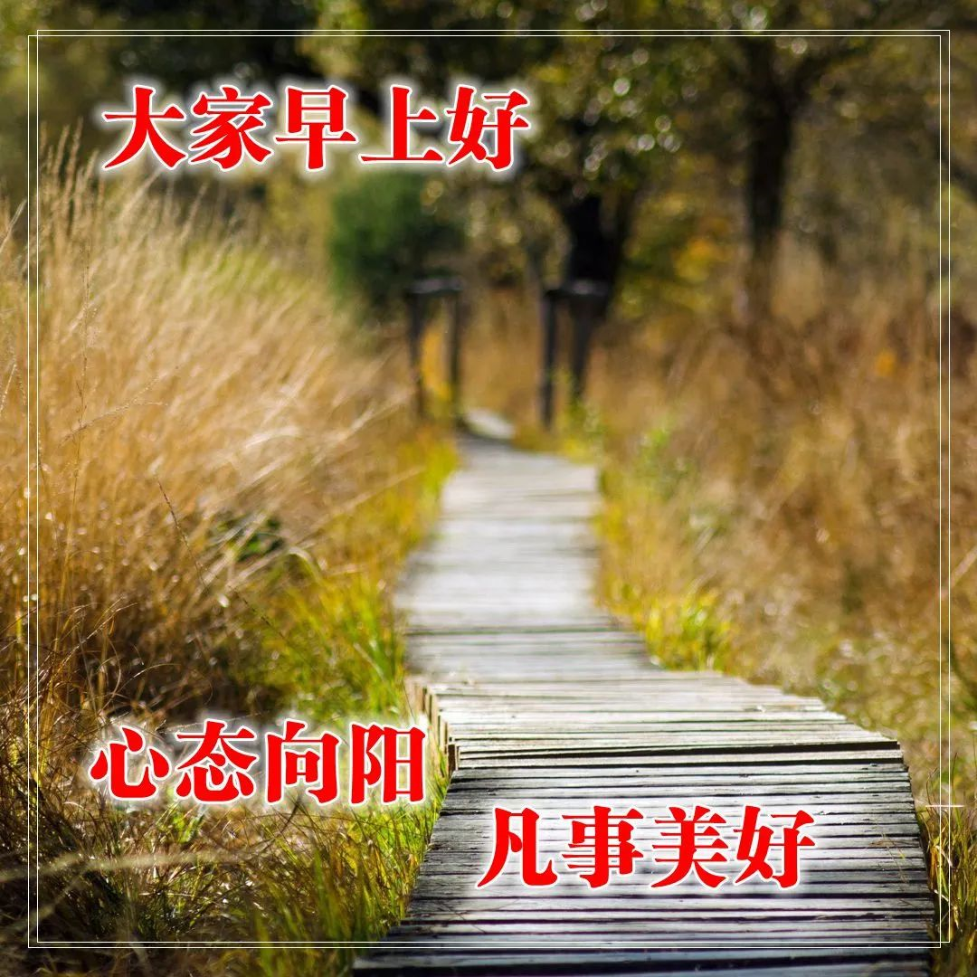 早上的问候图片带上精美的祝福语图片