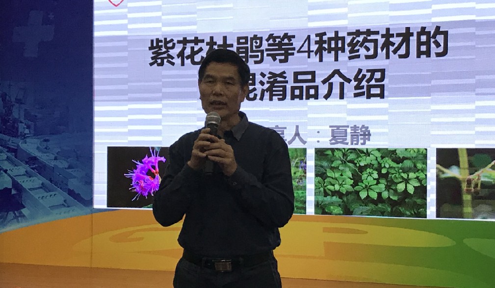 "商鉴会"走进神农草堂中医药博物馆，开展特色药用植物学习活动
