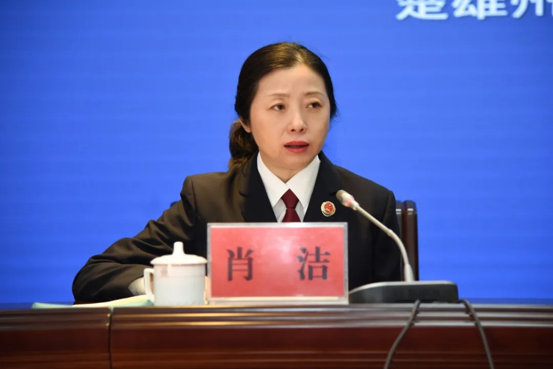楚雄州政法队伍教育整顿第二次新闻发布会召开
