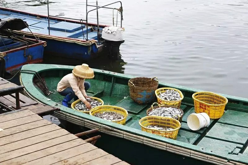 另一个角度看海南！重磅经济政策下的海南，那