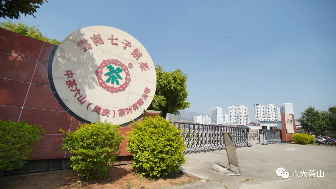 六大茶山建有规模最大、流程最规范的单体车间和现代化的生产线
