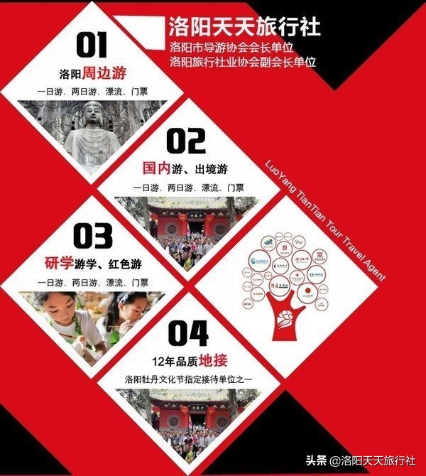 洛阳古瓷标本博物馆，开馆迎客啦