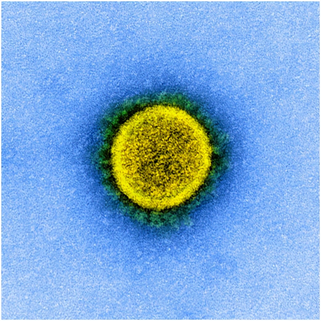 研究发现：新冠病毒在人类皮肤上可以存活9个小时，请保持勤洗手