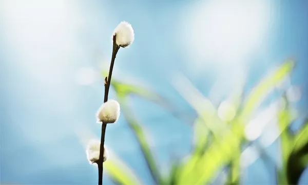 有錢便是天堂，沒錢便是地獄