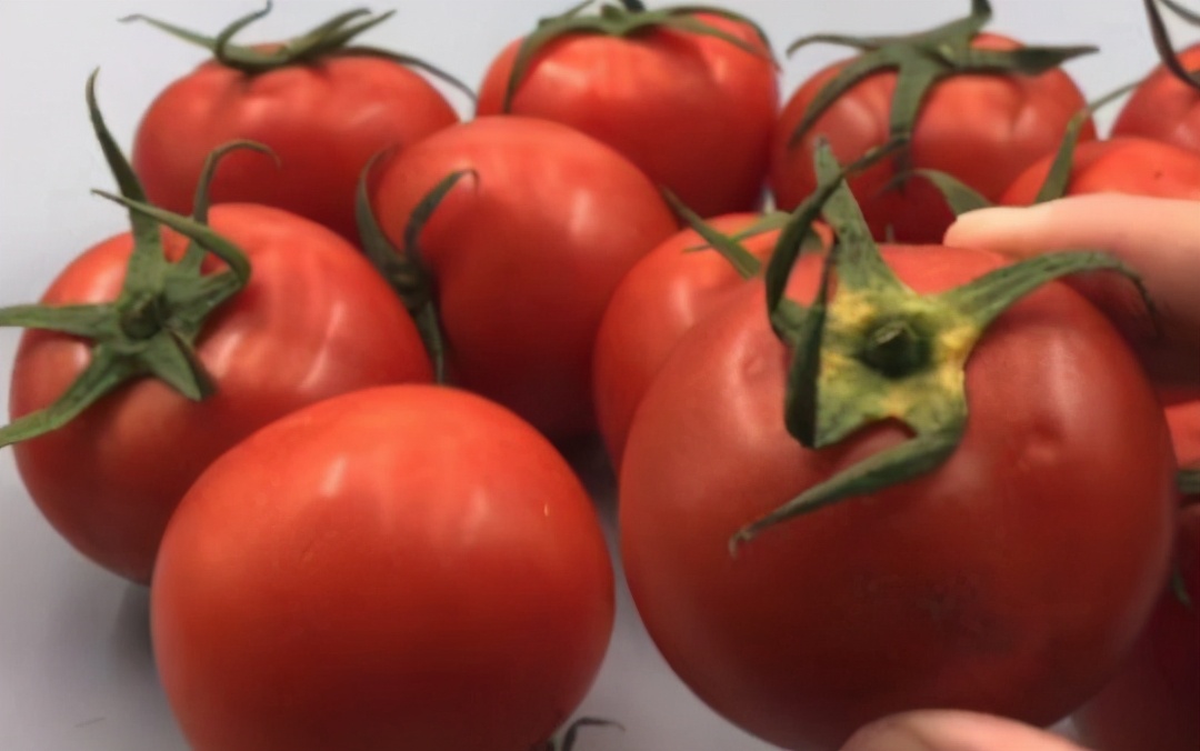 分辨催熟西红柿的小妙招