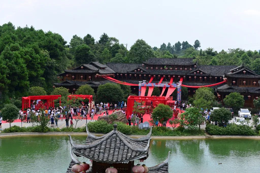 黄秀佳：返乡创业十八载 昔日穷村变景区