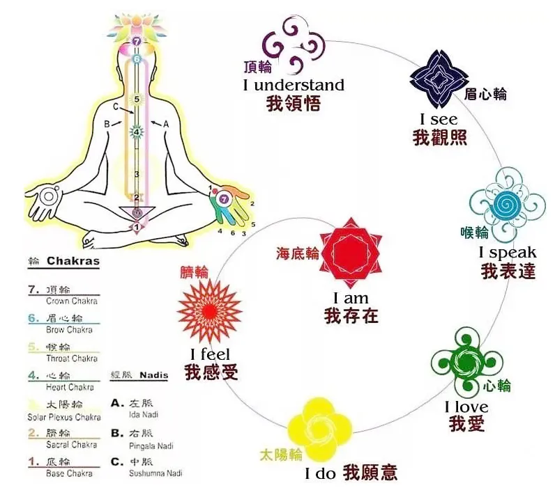给大家整理一下基本瑜伽的流派