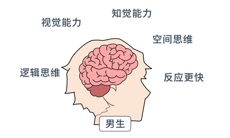 男女思维的差异在哪里？深入了解各自的“脑回路”，成为沟通高手