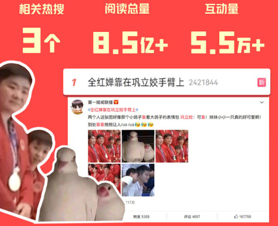 顶流！全红婵热搜阅读量20亿，弄丢的娃娃116分钟找回，太火了