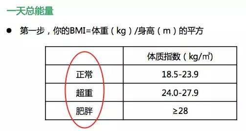 為了減肥不吃碳水化合物，遲早要「變丑、變笨」