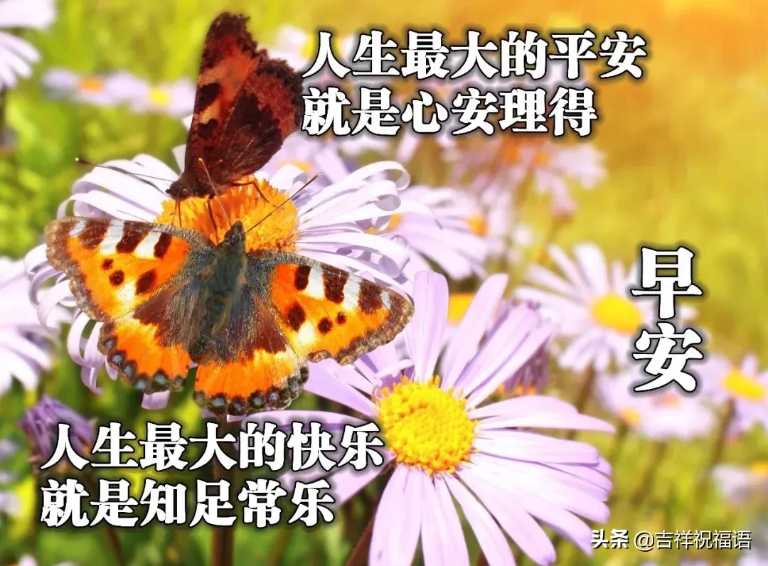 早晨好唯美图 早上好的图片表情带问候句子图片
