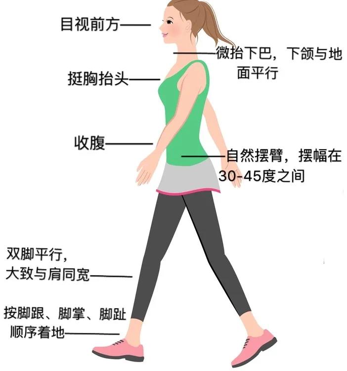 走路虽好，但肥胖、膝盖不好、便秘等6种人走法不同，效果也不同