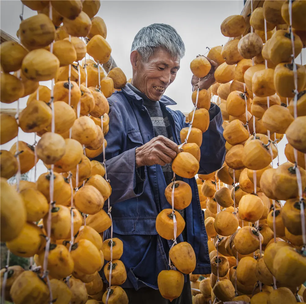 津门网董广民:皖南人家
