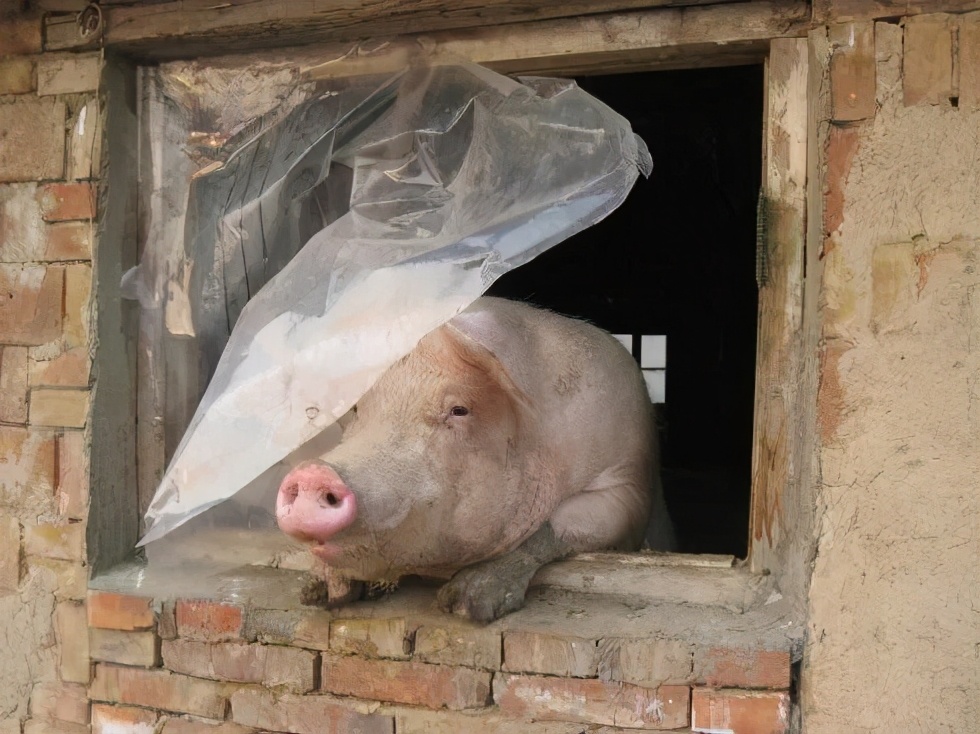 百家号自媒体如何运营好？我说：放着就行