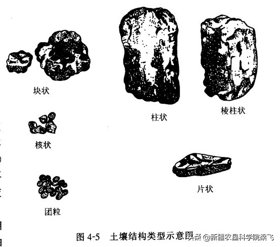 如何培育良好的土壤团粒结构