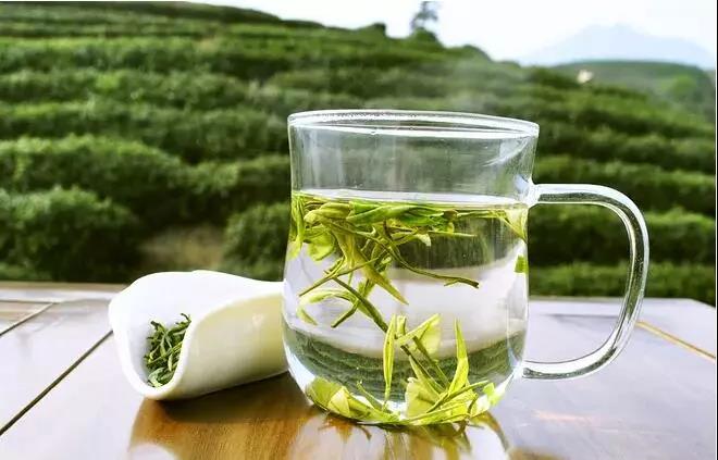 喝白开水好还是喝绿茶好？可以用绿茶代替白开水吗？