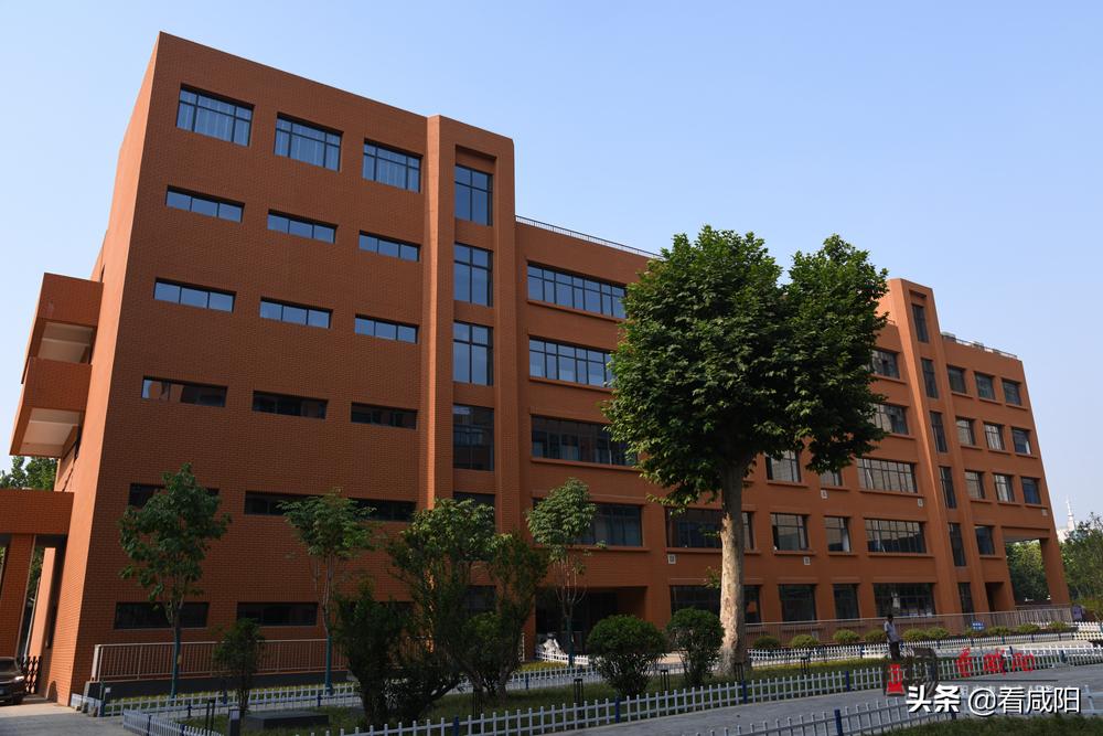 咸陽渭城中學遷址新建項目建設(shè)紀實(圖5)